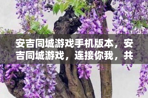 安吉同城游戏手机版本图片