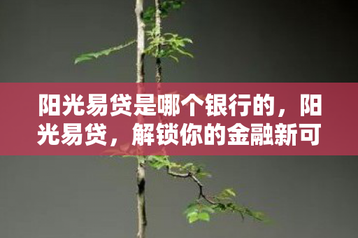 阳光易贷是哪个银行的图片