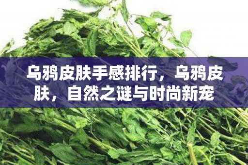 自然之谜与时尚新宠图片