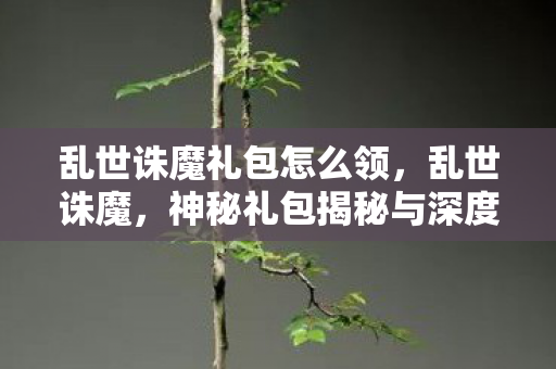 乱世诛魔礼包怎么领，乱世诛魔，神秘礼包揭秘与深度解析