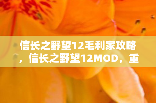 信长之野望12毛利家攻略图片