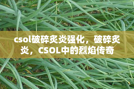 csol破碎炙炎强化图片