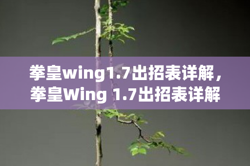 拳皇Wing 1图片