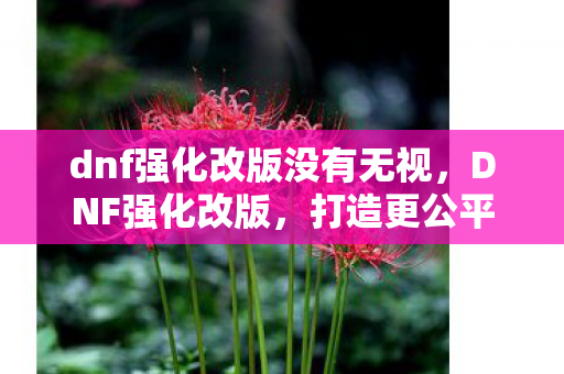 dnf强化改版没有无视图片