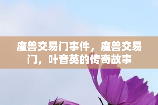 叶音英的传奇故事图片