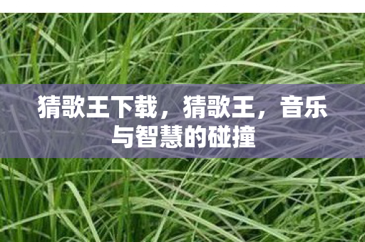 音乐与智慧的碰撞图片