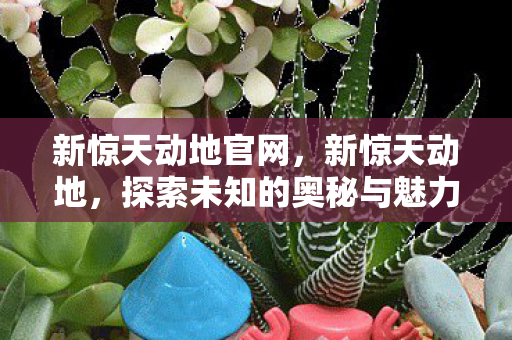 新惊天动地官网，新惊天动地，探索未知的奥秘与魅力