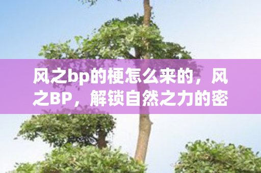 风之bp的梗怎么来的图片