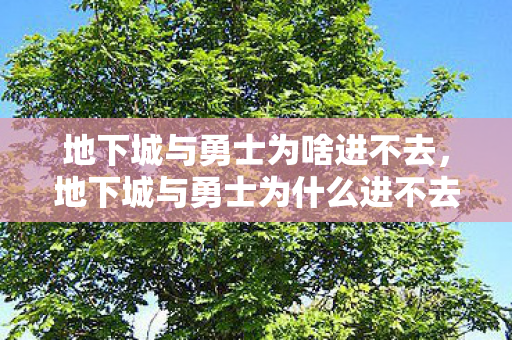 地下城与勇士为什么进不去图片