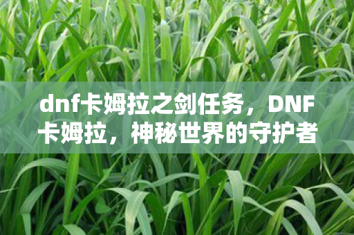 dnf卡姆拉之剑任务图片