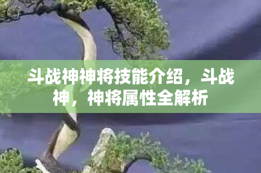 斗战神神将技能介绍图片