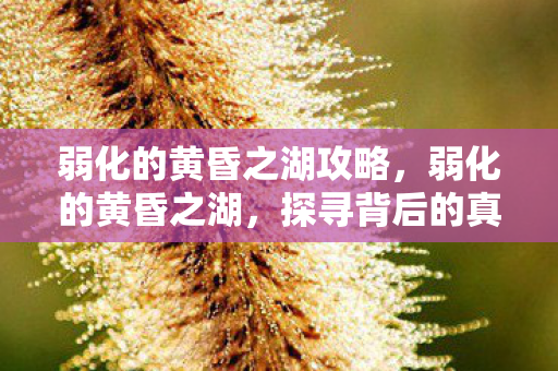 弱化的黄昏之湖攻略，弱化的黄昏之湖，探寻背后的真相与挑战