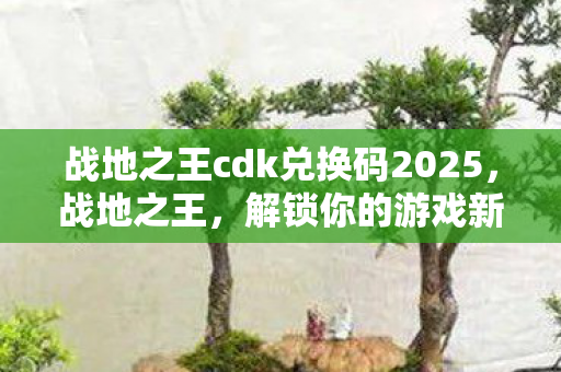 战地之王cdk兑换码2025图片