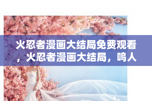 火忍者漫画大结局免费观看图片