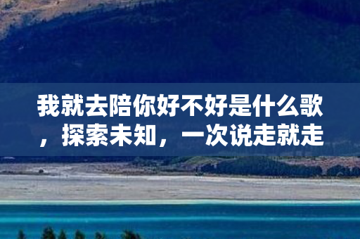 我就去陪你好不好是什么歌图片