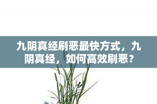 九阴真经刷恶最快方式图片