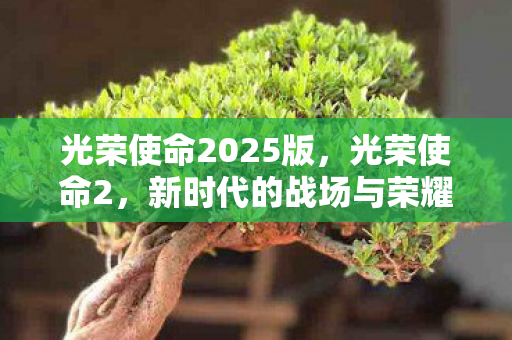 光荣使命2025版图片
