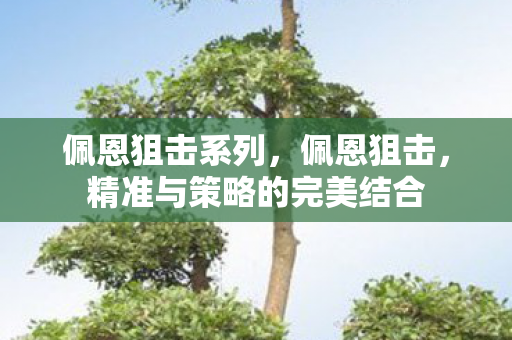 精准与策略的完美结合图片