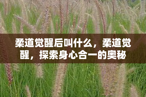 探索身心合一的奥秘图片