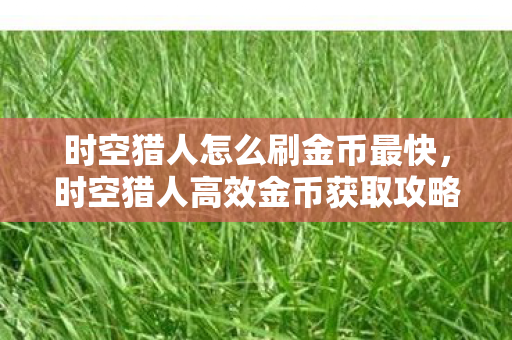 时空猎人高效金币获取攻略图片