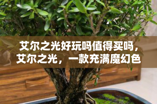 一款充满魔幻色彩与冒险乐趣的游戏图片