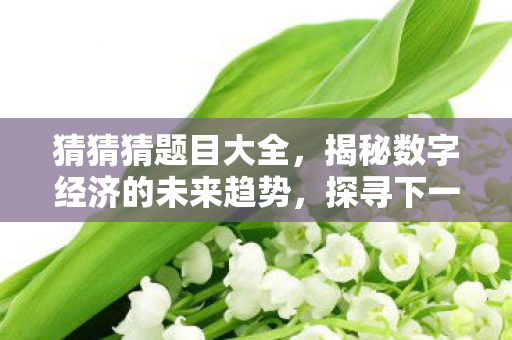 猜猜猜题目大全，揭秘数字经济的未来趋势，探寻下一个风口产业