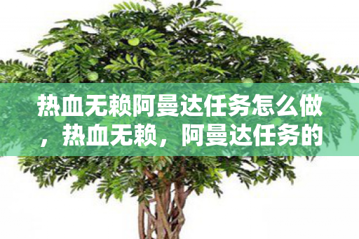 热血无赖阿曼达任务怎么做图片