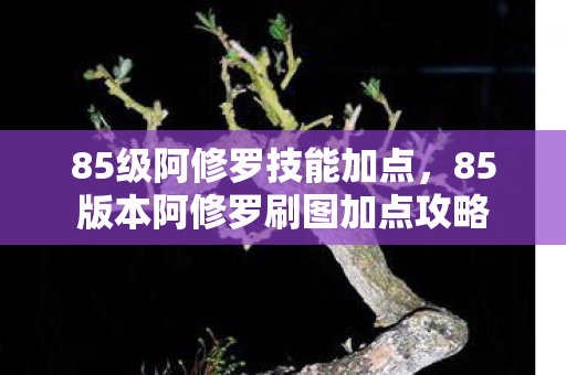 85版本阿修罗刷图加点攻略图片