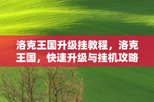 洛克王国升级挂教程图片