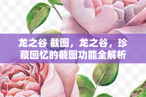 珍藏回忆的截图功能全解析图片