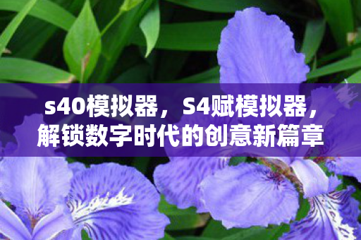 解锁数字时代的创意新篇章图片