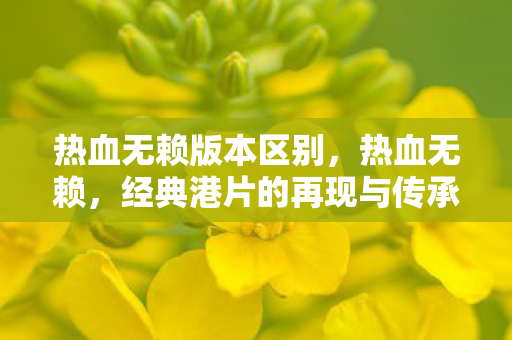 经典港片的再现与传承图片