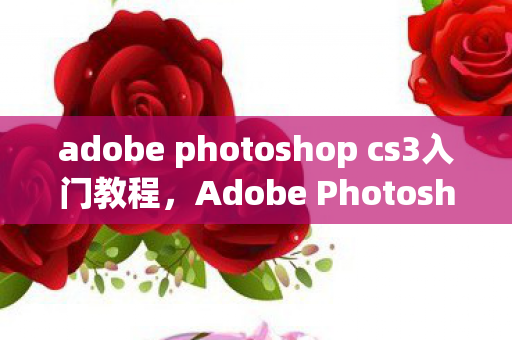 adobe photoshop cs3入门教程图片