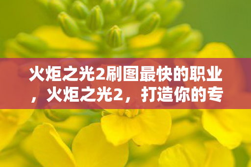 火炬之光2刷图最快的职业图片