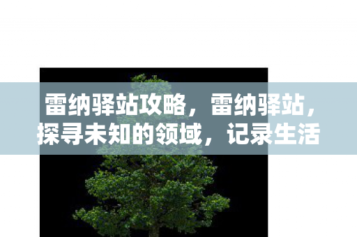 雷纳驿站攻略，雷纳驿站，探寻未知的领域，记录生活的点滴