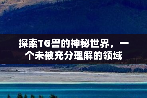 一个未被充分理解的领域图片