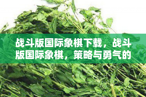 战斗版国际象棋下载图片