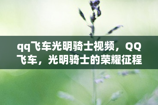 qq飞车光明骑士视频图片