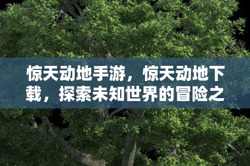 惊天动地手游，惊天动地下载，探索未知世界的冒险之旅