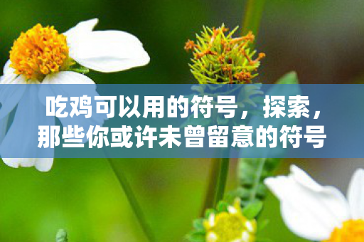 那些你或许未曾留意的符号语言图片