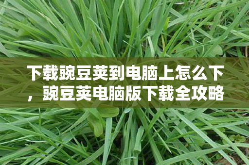 下载豌豆荚到电脑上怎么下图片