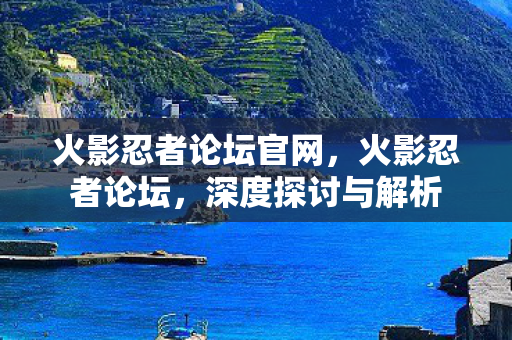 火影忍者论坛官网，火影忍者论坛，深度探讨与解析