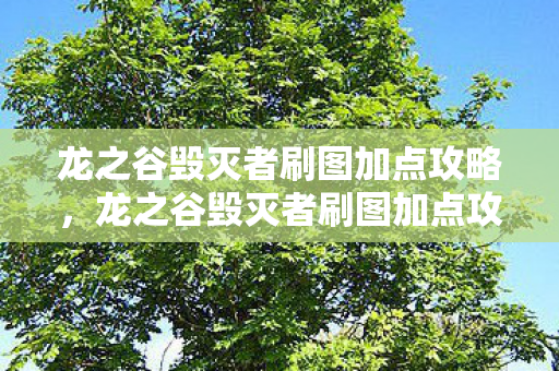 龙之谷毁灭者刷图加点攻略图片