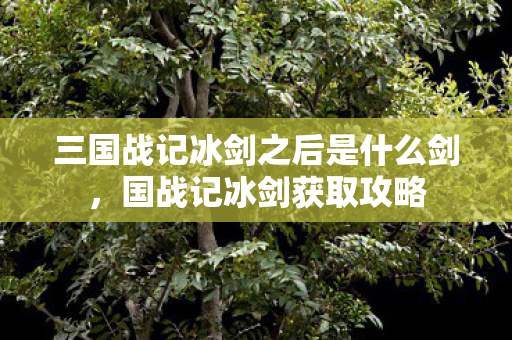 三国战记冰剑之后是什么剑图片