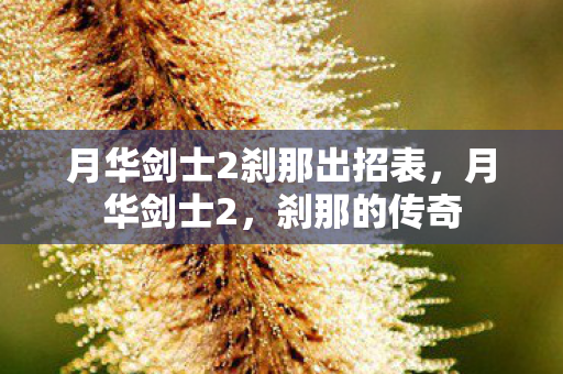 月华剑士2刹那出招表图片