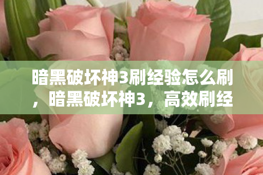 暗黑破坏神3刷经验怎么刷图片