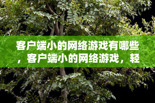 客户端小的网络游戏有哪些图片