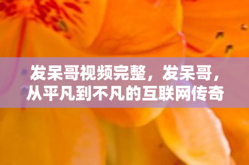 从平凡到不凡的互联网传奇图片