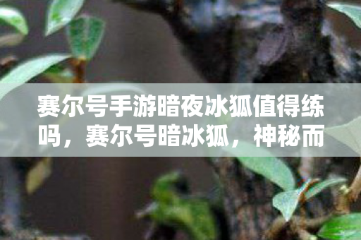 赛尔号手游暗夜冰狐值得练吗图片