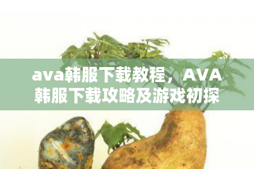 ava韩服下载教程，AVA韩服下载攻略及游戏初探
